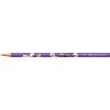 LAPIS PRETO ECO REDONDO PETS FABER-CASTELL - REF. 935PET - CAIXA COM 72 UNIDADES