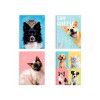 CADERNO ESPIRAL CAPA DURA 1/4 80 FOLHAS MY PETS SAO DOMINGOS - REF. 232006 - PACOTE COM 10 UNIDADES