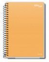 CADERNO 20 MATERIAS CAPA DURA 280 FOLHAS ESSENCIALE CREDEAL - REF. 277225 - PACOTE COM 2 UNIDADES