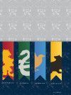 AGENDA DIARIA ESPIRAL HARRY POTTER 2024 JANDAIA - REF. 64687-24 - PACOTE COM 4 UNIDADES SORTIDAS