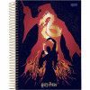 CADERNO ESPIRAL CAPA DURA 1/4 96FL HARRY POTTER JANDAIA - REF. 63598-24 - PACOTE COM 5 UNIDADES
