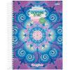 CADERNO 10 MATERIAS CAPA DURA 160FL ENERGY COLOR JANDAIA - REF. 69920-88 - PACOTE COM 4 UNIDADES