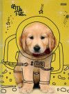 CADERNO BROCHURAO CAPA DURA 48FL MY PETS SAO DOMINGOS - REF. 10552 - PACOTE COM 10 UNIDADES
