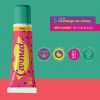 HIDRATANTE LABIAL CARMED MELANCIA 10G - REF. 103259 - 1 UNIDADE