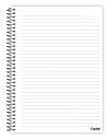 CADERNO 1 MATERIA CAPA DURA 80 FOLHAS AGRO+ CREDEAL - REF. 277706 - PACOTE COM 3 UNIDADES