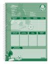 CADERNO 10 MATERIAS CAPA DURA 160 FOLHAS PALMEIRAS CREDEAL - REF. 284339 - PACOTE COM 2 UNIDADES