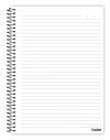 CADERNO 10 MATERIAS CAPA DURA 160 FOLHAS PALMEIRAS CREDEAL - REF. 284339 - PACOTE COM 2 UNIDADES