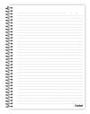 CADERNO 10 MATERIAS CAPA DURA 160 FOLHAS GARFIELD O FILME CREDEAL - REF. 284247 - PACOTE COM 2 UNIDADES