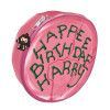 ESTOJO HARRY POTTER BOLO DE ANIVERSARIO DAC - REF. 5067 - 1 UNIDADE
