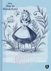 CADERNO BROCHURAO CAPA DURA 160 FOLHAS COLEGIAL ALICE ANIMATIVA - REF. 10831 - PACOTE COM 2 UNIDADES