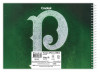 CADERNO CARTOGRAFIA CAPA DURA 80 FOLHAS PALMEIRAS CREDEAL - REF. 286357 - PACOTE COM 5 UNIDADES