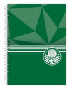 CADERNO 16 MATERIAS CAPA DURA 256 FOLHAS PALMEIRAS CREDEAL - REF. 284353 - PACOTE COM 2 UNIDADES