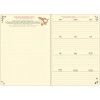 AGENDA BROCHURA POOH PLANNER M7 TILIBRA 2026 - REF. 393886 - PACOTE COM 5 UNIDADES 
