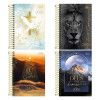 AGENDA ESPIRAL LOUVOR M6 TILIBRA 2026 - REF. 395374 - PACOTE COM 4 UNIDADES 