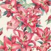 SACO 50X70CM METAL SORTIDO FEMININO CROMUS - REF. 99003115 - PACOTE COM 25 UNIDADES